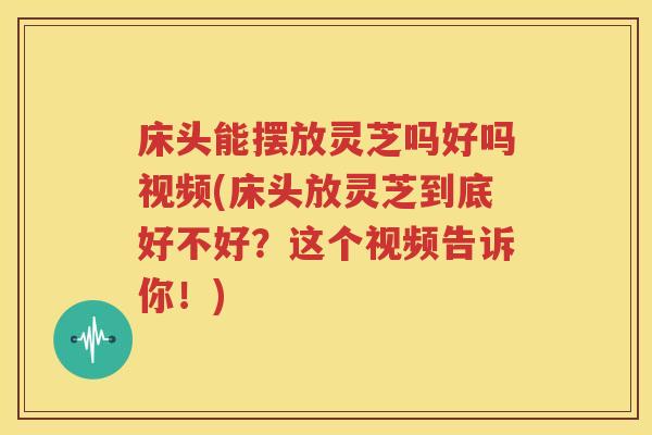 床头能摆放灵芝吗好吗视频(床头放灵芝到底好不好？这个视频告诉你！)