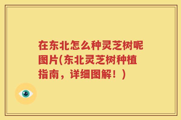 在东北怎么种灵芝树呢图片(东北灵芝树种植指南，详细图解！)