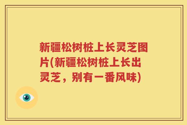 新疆松树桩上长灵芝图片(新疆松树桩上长出灵芝，别有一番风味)