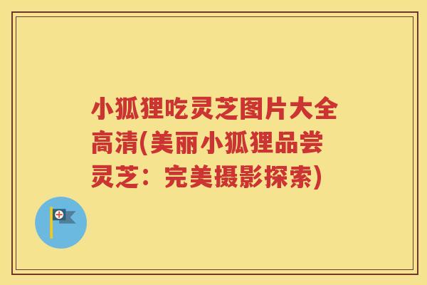 小狐狸吃灵芝图片大全高清(美丽小狐狸品尝灵芝：完美摄影探索)