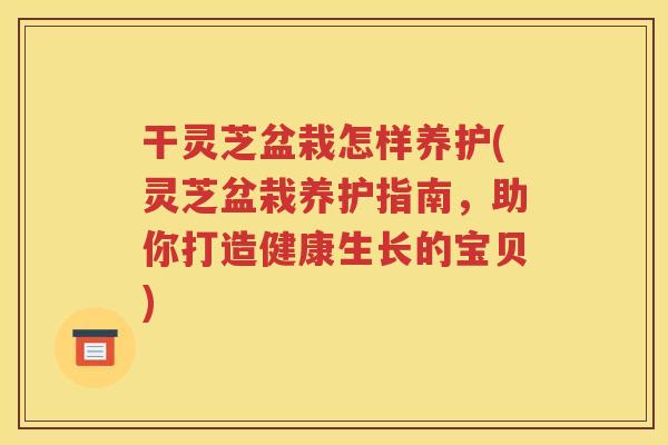 干灵芝盆栽怎样养护(灵芝盆栽养护指南，助你打造健康生长的宝贝)