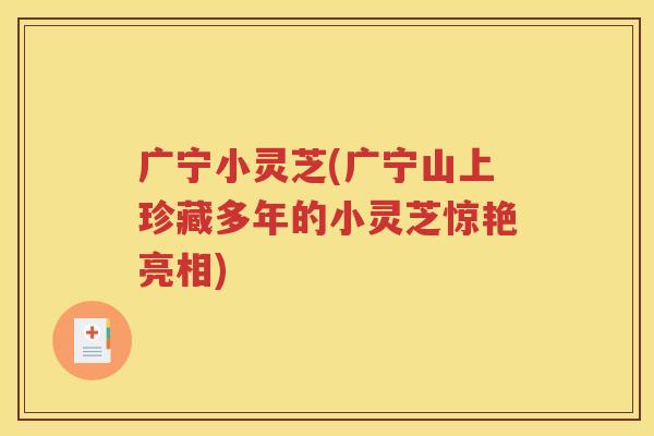 广宁小灵芝(广宁山上珍藏多年的小灵芝惊艳亮相)