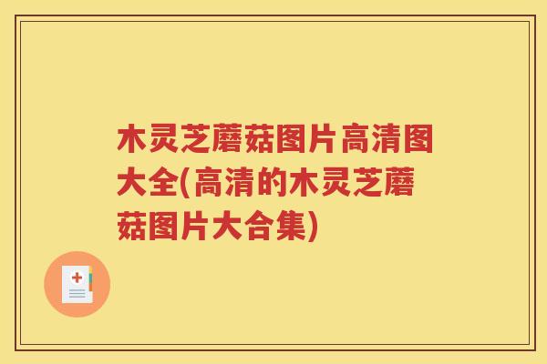 木灵芝蘑菇图片高清图大全(高清的木灵芝蘑菇图片大合集)