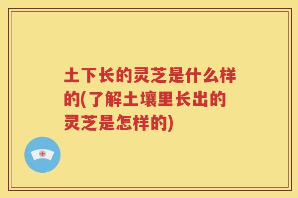 土下长的灵芝是什么样的(了解土壤里长出的灵芝是怎样的)