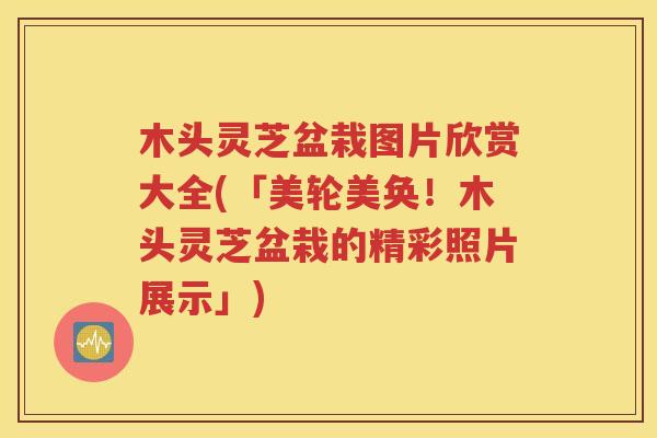木头灵芝盆栽图片欣赏大全(「美轮美奂！木头灵芝盆栽的精彩照片展示」)