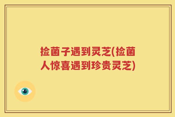 捡菌子遇到灵芝(捡菌人惊喜遇到珍贵灵芝)