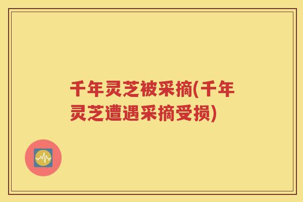 千年灵芝被采摘(千年灵芝遭遇采摘受损)