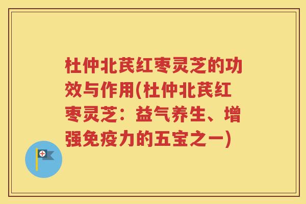 杜仲北芪红枣灵芝的功效与作用(杜仲北芪红枣灵芝：益气养生、增强免疫力的五宝之一)