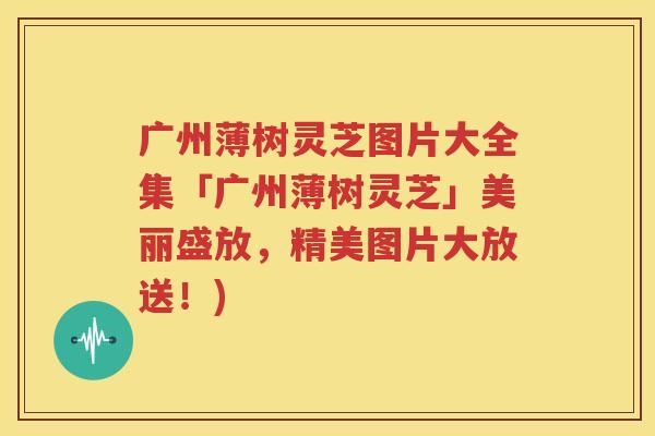 广州薄树灵芝图片大全集「广州薄树灵芝」美丽盛放，精美图片大放送！)