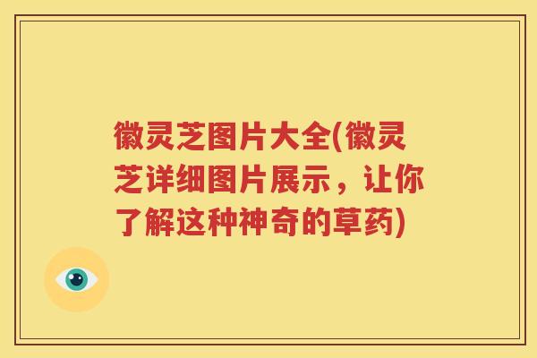 徽灵芝图片大全(徽灵芝详细图片展示，让你了解这种神奇的草药)