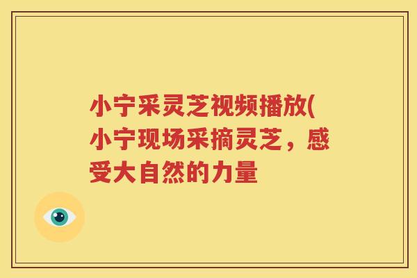 小宁采灵芝视频播放(小宁现场采摘灵芝，感受大自然的力量