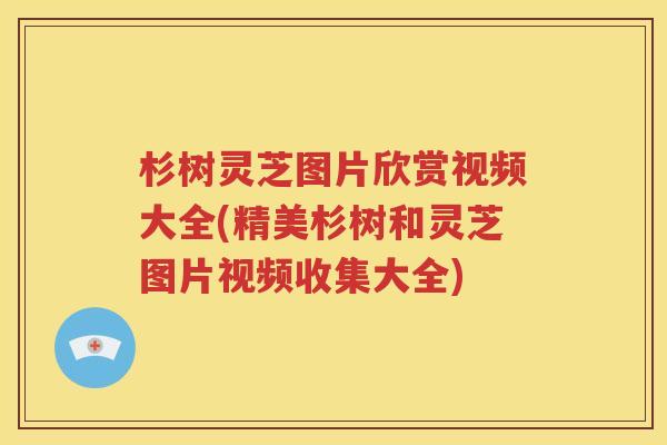 杉树灵芝图片欣赏视频大全(精美杉树和灵芝图片视频收集大全)