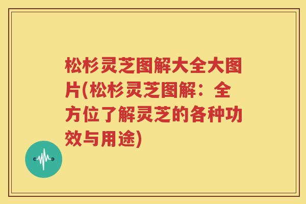 松杉灵芝图解大全大图片(松杉灵芝图解：全方位了解灵芝的各种功效与用途)