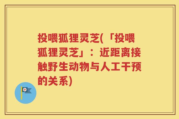 投喂狐狸灵芝(「投喂狐狸灵芝」：近距离接触野生动物与人工干预的关系)