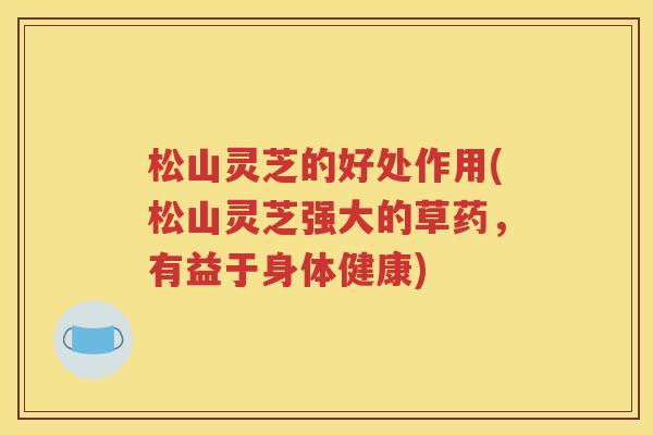 松山灵芝的好处作用(松山灵芝强大的草药，有益于身体健康)