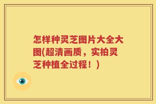 怎样种灵芝图片大全大图(超清画质，实拍灵芝种植全过程！)