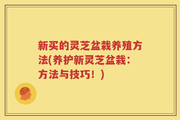 新买的灵芝盆栽养殖方法(养护新灵芝盆栽：方法与技巧！)