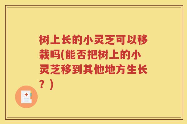 树上长的小灵芝可以移栽吗(能否把树上的小灵芝移到其他地方生长？)