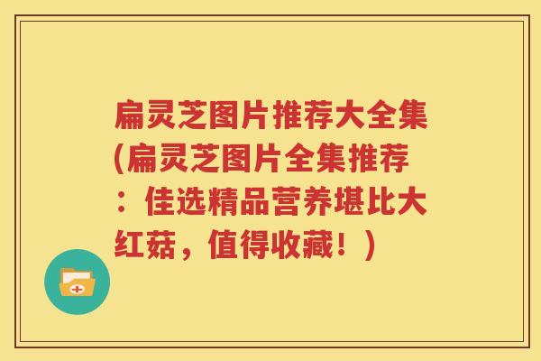 扁灵芝图片推荐大全集(扁灵芝图片全集推荐：佳选精品营养堪比大红菇，值得收藏！)