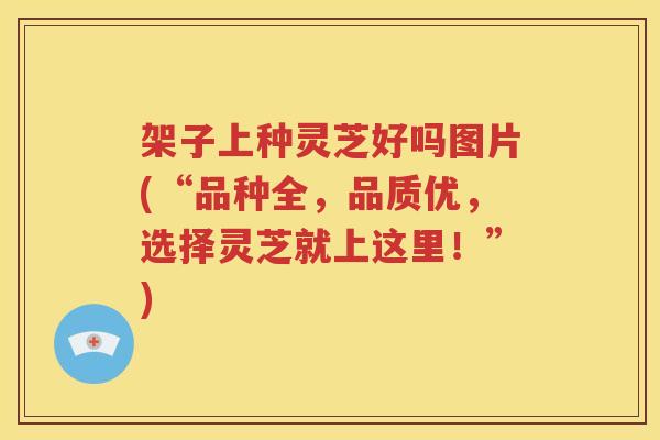 架子上种灵芝好吗图片(“品种全，品质优，选择灵芝就上这里！”)
