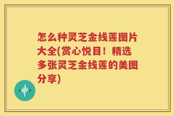怎么种灵芝金线莲图片大全(赏心悦目！精选多张灵芝金线莲的美图分享)