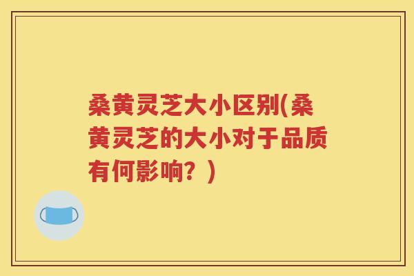 桑黄灵芝大小区别(桑黄灵芝的大小对于品质有何影响？)