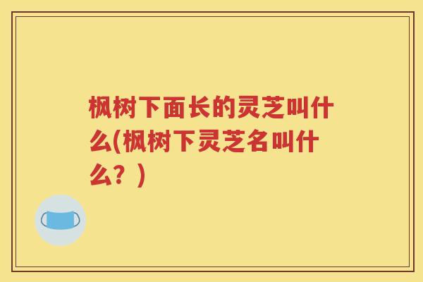 枫树下面长的灵芝叫什么(枫树下灵芝名叫什么？)