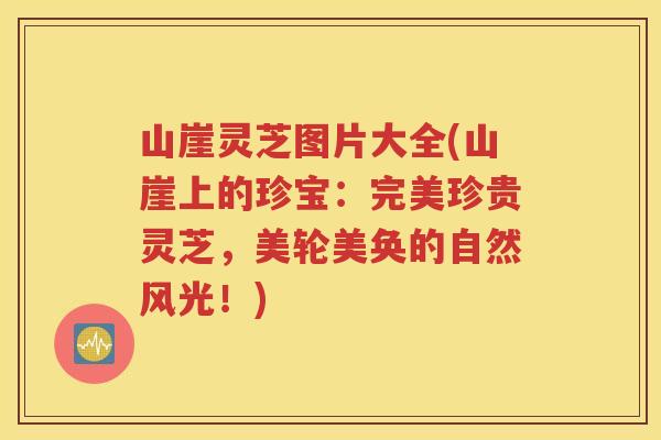 山崖灵芝图片大全(山崖上的珍宝：完美珍贵灵芝，美轮美奂的自然风光！)