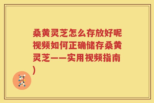 桑黄灵芝怎么存放好呢视频如何正确储存桑黄灵芝——实用视频指南)