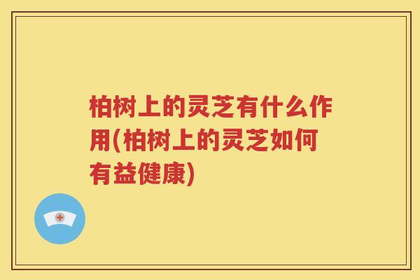 柏树上的灵芝有什么作用(柏树上的灵芝如何有益健康)
