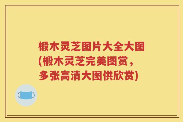 椴木灵芝图片大全大图(椴木灵芝完美图赏，多张高清大图供欣赏)