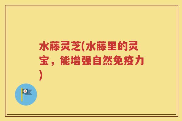 水藤灵芝(水藤里的灵宝，能增强自然免疫力)