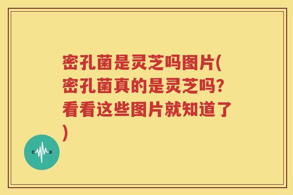 密孔菌是灵芝吗图片(密孔菌真的是灵芝吗？看看这些图片就知道了)