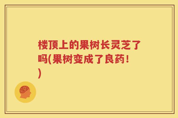 楼顶上的果树长灵芝了吗(果树变成了良药！)
