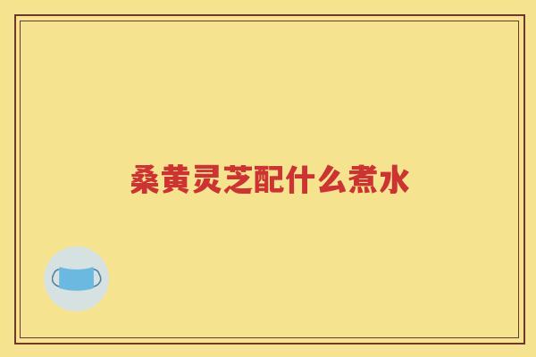 桑黄灵芝配什么煮水