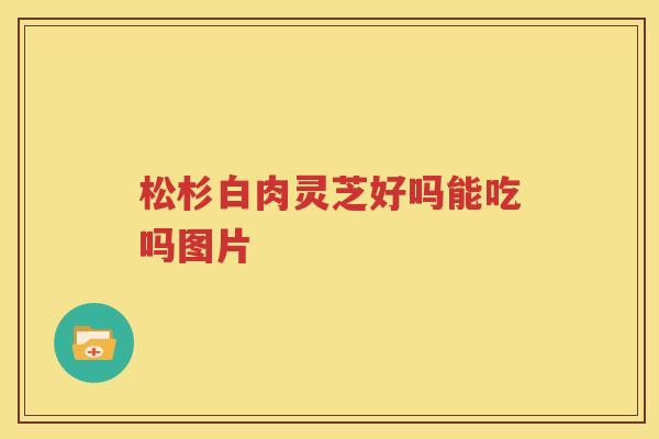 松杉白肉灵芝好吗能吃吗图片