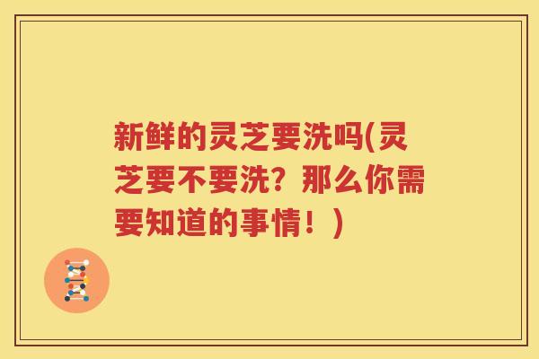 新鲜的灵芝要洗吗(灵芝要不要洗？那么你需要知道的事情！)