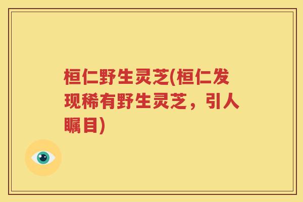 桓仁野生灵芝(桓仁发现稀有野生灵芝，引人瞩目)