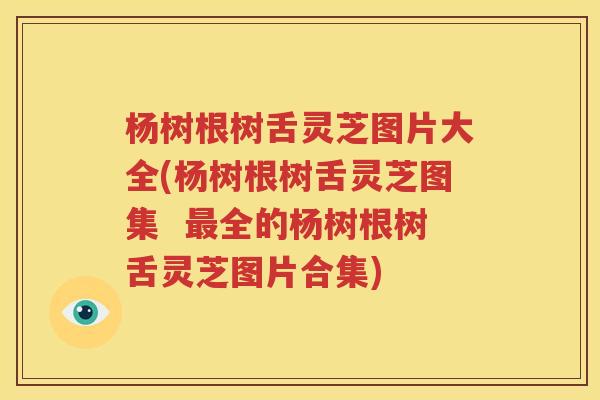 杨树根树舌灵芝图片大全(杨树根树舌灵芝图集  最全的杨树根树舌灵芝图片合集)