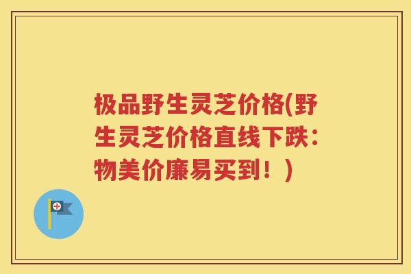 极品野生灵芝价格(野生灵芝价格直线下跌：物美价廉易买到！)