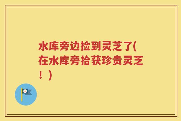 水库旁边捡到灵芝了(在水库旁拾获珍贵灵芝！)