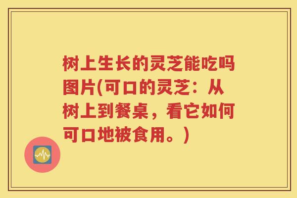 树上生长的灵芝能吃吗图片(可口的灵芝：从树上到餐桌，看它如何可口地被食用。)