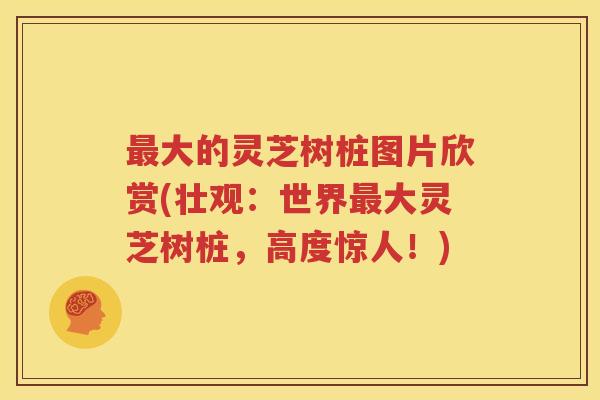最大的灵芝树桩图片欣赏(壮观：世界最大灵芝树桩，高度惊人！)