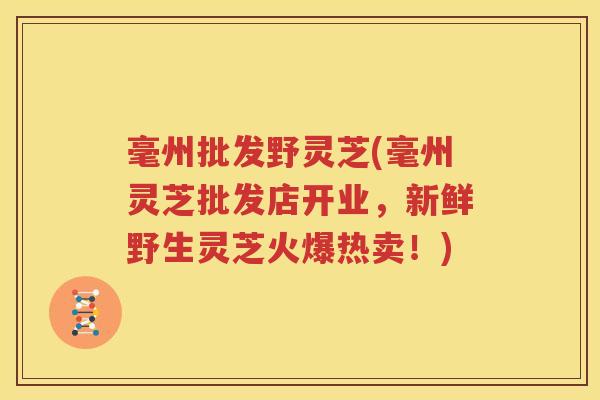 毫州批发野灵芝(毫州灵芝批发店开业，新鲜野生灵芝火爆热卖！)