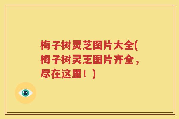 梅子树灵芝图片大全(梅子树灵芝图片齐全，尽在这里！)