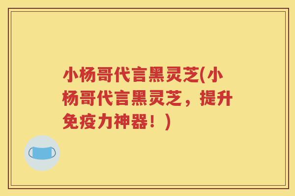小杨哥代言黑灵芝(小杨哥代言黑灵芝，提升免疫力神器！)