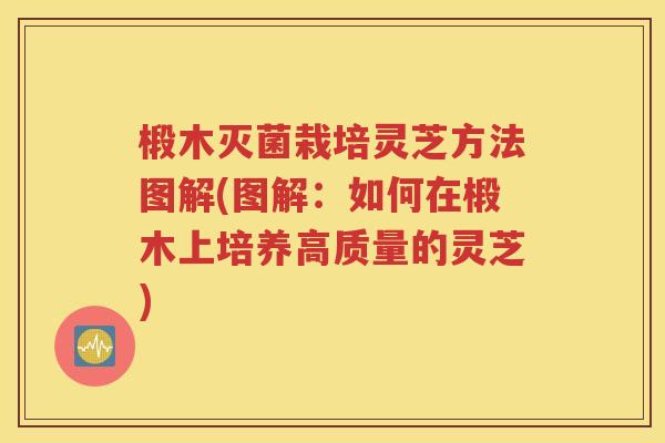 椴木灭菌栽培灵芝方法图解(图解：如何在椴木上培养高质量的灵芝)