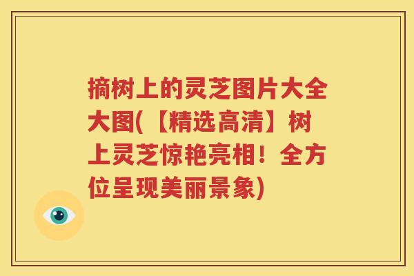 摘树上的灵芝图片大全大图(【精选高清】树上灵芝惊艳亮相！全方位呈现美丽景象)