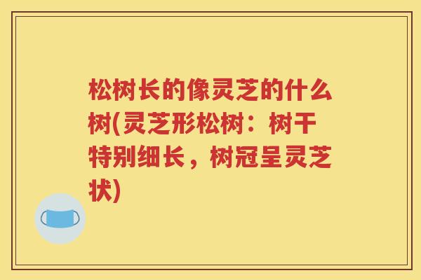 松树长的像灵芝的什么树(灵芝形松树：树干特别细长，树冠呈灵芝状)