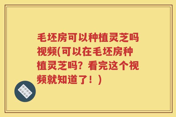 毛坯房可以种植灵芝吗视频(可以在毛坯房种植灵芝吗？看完这个视频就知道了！)